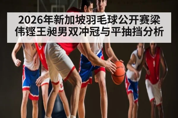 2026年新加坡羽毛球公开赛梁伟铿王昶男双冲冠与平抽挡分析